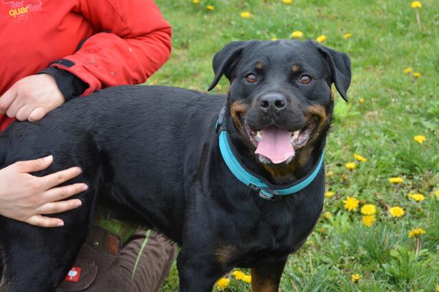 Ella | Foto: TierQuarTier Wien