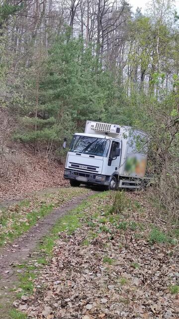 Vom Navi wurde der LKW-Fahrer auf einen Waldweg geführt | Foto: Feuerwehr Forchtenau
