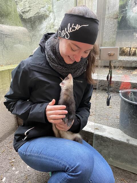 Das süße Frettchen hätte ich am liebsten mit nach Hause genommen | Foto: Lisa Kropiunig