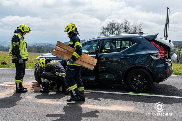 Foto: TEAM FOTOKERSCHI.AT / RAUSCHER