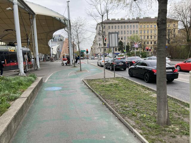 Dieser Baum stört beim Urban-Loritz-Platz. | Foto: Bernd Sommer