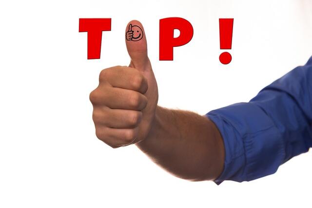Bei der Landtgaswahl 2023 gab es für die acht verschiedenen Parteien sowohl Top-Ergebnisse als auch Flops. | Foto: pixabay / Symbolfoto