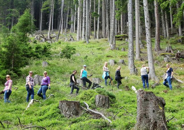 Die Amraser Jungbauern in ihrem eigenen Waldabschnitt | Foto: Agrargemeinschaft Amraser Hochwald