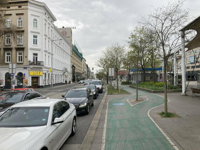 Dieser Baum stört beim Urban-Loritz-Platz. | Foto: Bernd Sommer