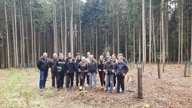 Aufforstung eines Waldstückes am Ökopark Hartberg mit Schüleren der de La Tour Schule davinci Hartberg. | Foto: KK