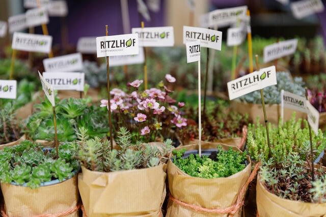Schönsten Blumen und Gärten des Landes Sieger der GartenTrophy 2022
