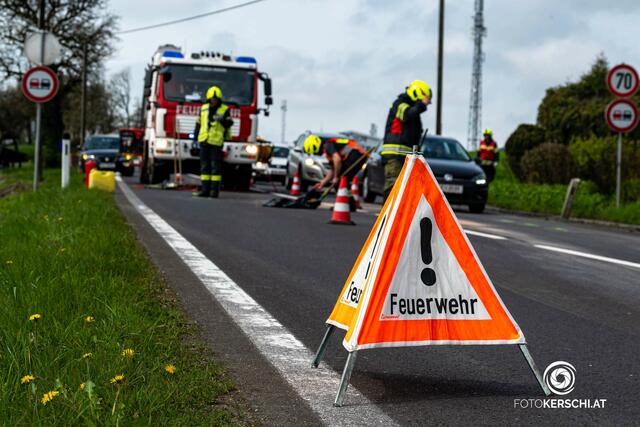 Foto: TEAM FOTOKERSCHI.AT / RAUSCHER