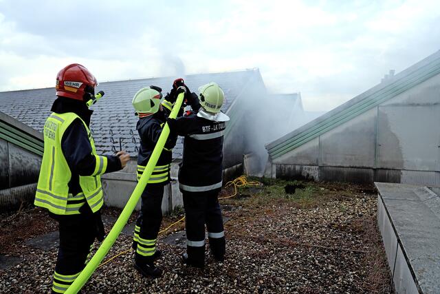 Die Feuerwehr Stadt-Tulln und die Betriebsfeuerwehr des UK Tullns trainierten gemeinsam.  | Foto: UK Tulln