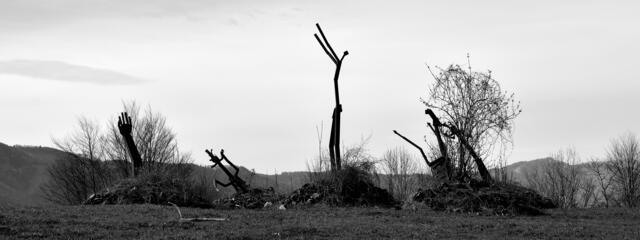 Foto: Hans-Peter Kriener