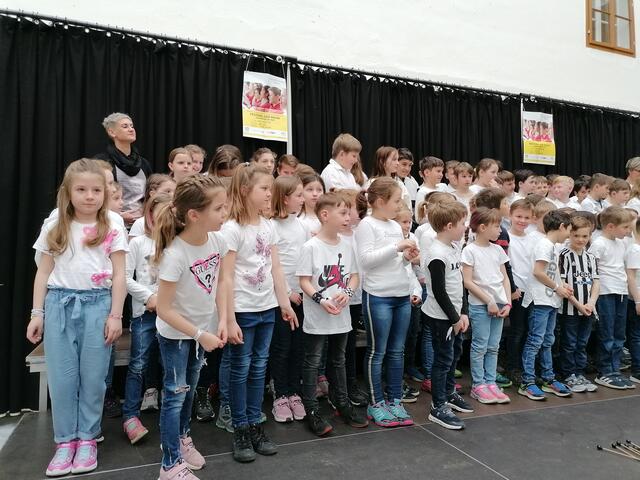 Voller Begeisterung waren die Volksschulkinder beim Singen mitdabei.  | Foto: VS St. Ulrich