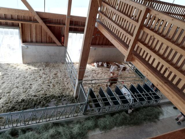 Foto: Veronika Frank