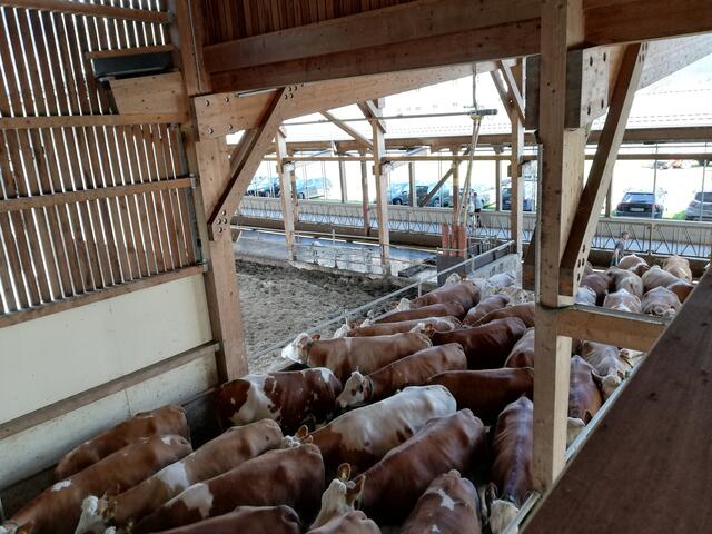 Foto: Veronika Frank