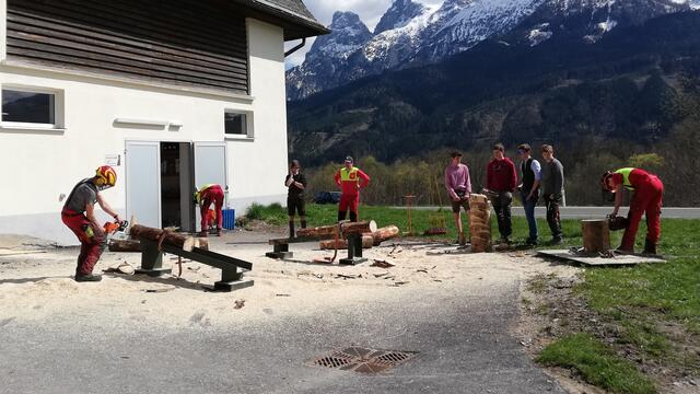 Gute Ausbildung in der Forstwirtschaft | Foto: Veronika Frank