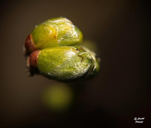 ......na du Fauler,könntest aber auch etwas mitmachen .....