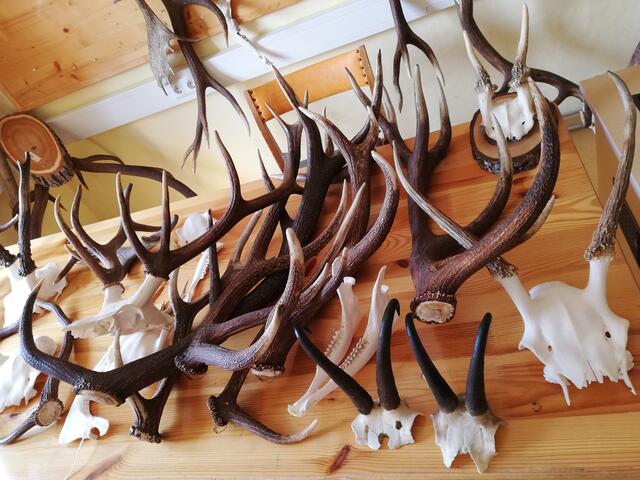 Foto: Veronika Frank