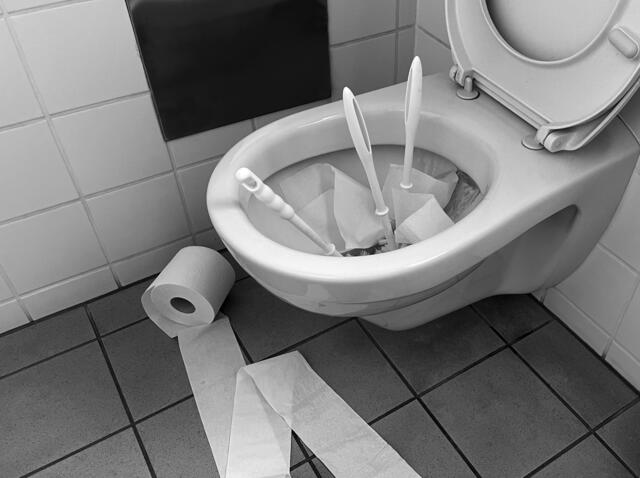 Vandalenakte in Schulen führen oftmals zu Verstopfungen und kostspieligen Reparaturen. | Foto: Symbolfoto/Heigl