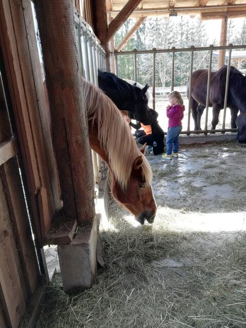 Foto: Veronika Frank