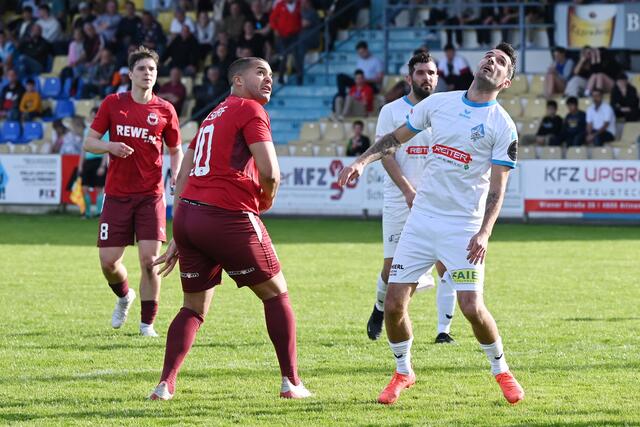 Foto: Wolfgang Spitzbart