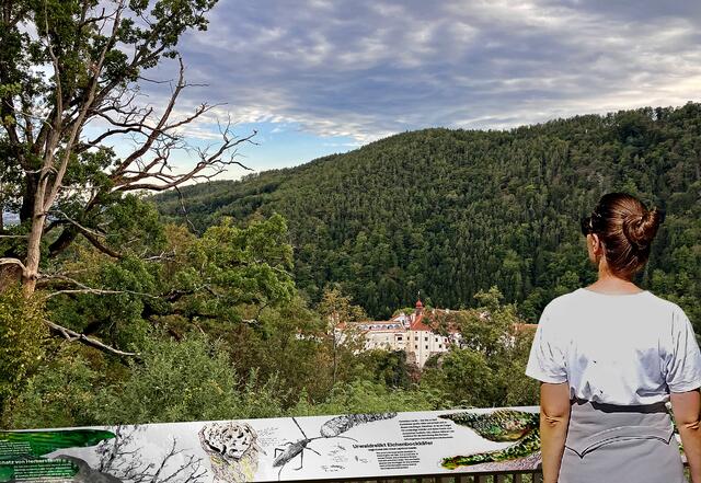 Blick auf Herberstein: Ab 29. April startet hier die "Steiermark Schau" 2023. | Foto: Haid/Pretterhofer/Rieper