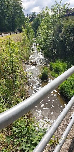 Die stinkende Jauche weiter flussabwärts im Riederbach. | Foto: Johann Rockenschaub.