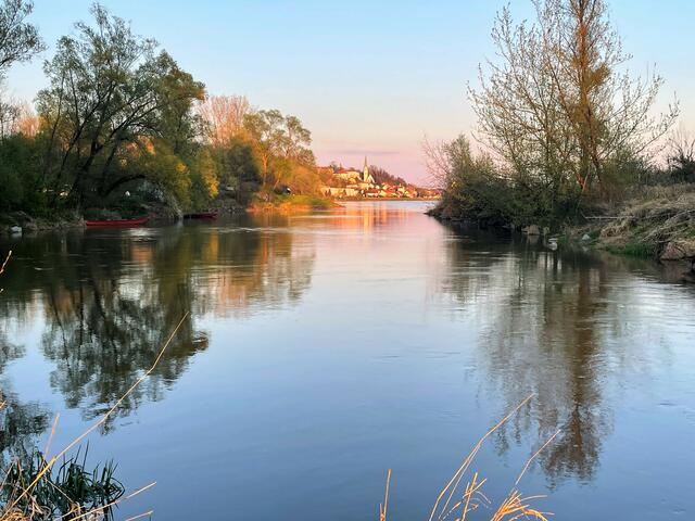 Hier mündet der Riederbach in die Gusen und kurz danach diese in die Donau. | Foto: Johann Rockenschaub