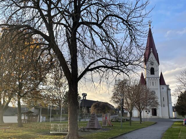 Aus der römisch-katholischen Kirche in Nickelsdorf wurde der Opferstock gestohlen (Symbolbild). | Foto: Kathrin Haider