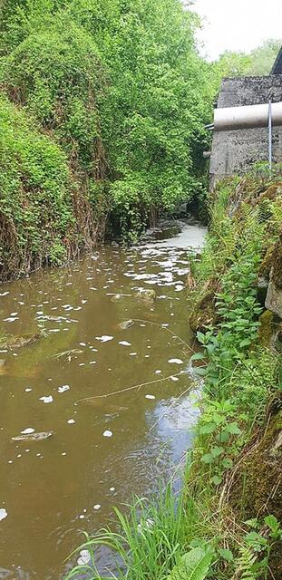Ist die Gülle erst einmal im Bach, so kann sie kaum mehr gebunden und entfernt werden | Foto: Johann Rockenschaub.