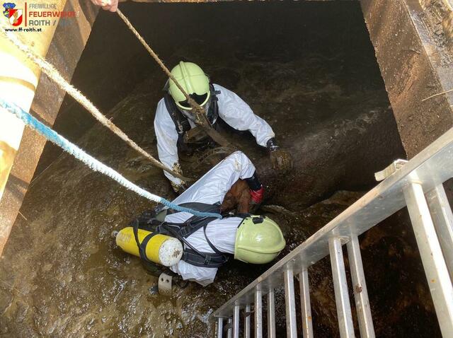 Die Rettung war erfolgreich und das Tier ist wohlauf. | Foto: FF-Roith/Facebook