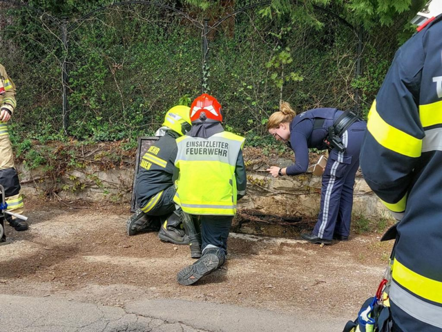 Foto: Michael Sabadello