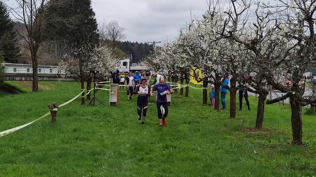 Blühender Auftakt in Gamlitz | Foto: Leibnitzer AC