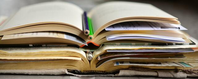 Der Ausschreibungsprozess werde dadurch schneller und transparenter und biete auch den Bildungsdirektionen einen besseren Überblick über die Bewerbungslage.
| Foto: pixabay.com