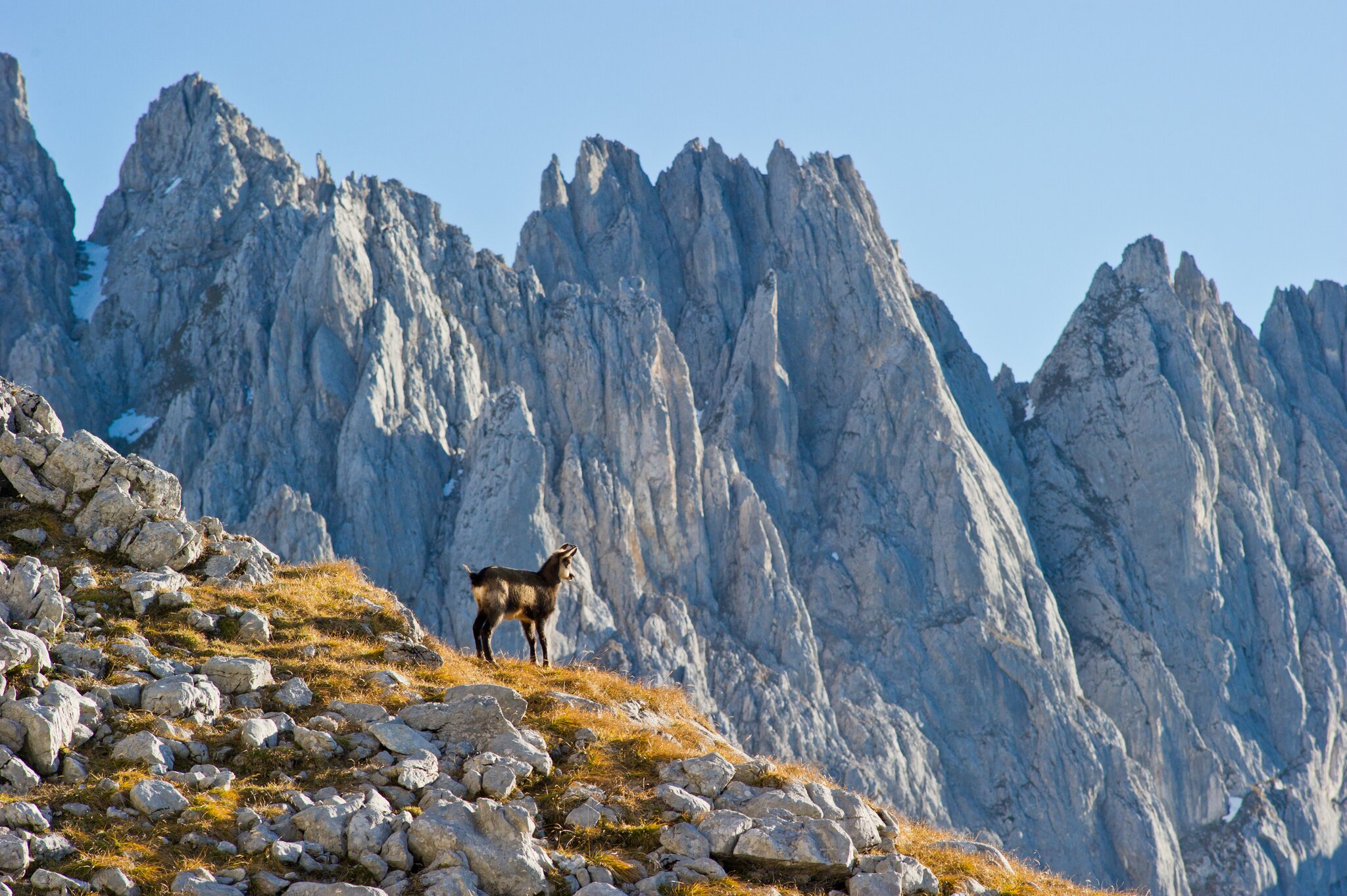 Kaisergebirge Naturschutz 60 Jahre Naturschutzgebiet „Kaisergebirge