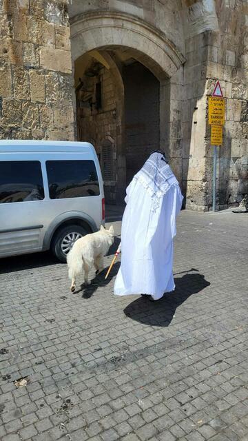 Foto: Michael Eichlberger