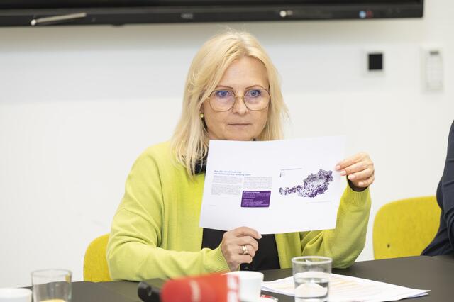 Skizziert den - traurigen - Status Quo jener Regionen, die österreichweit am ehesten die VIF-Kriterien (Vereinbarkeitsindikator für Beruf und Familie) erfüllen: Gabi Lechner  | Foto: Foto Fischer
