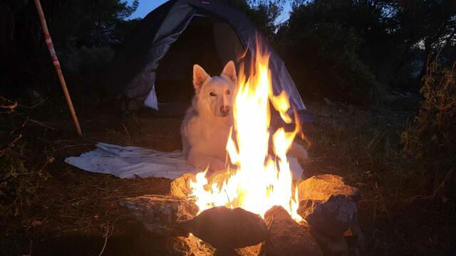 Foto: Michael Eichlberger