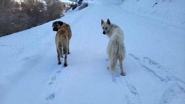 Foto: Michael Eichlberger