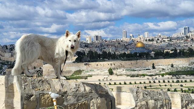 Voller Freude haben Lazaro und Michael den Ölberg erreicht. | Foto: Michael Eichlberger