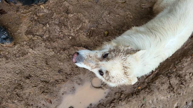 Foto: Michael Eichlberger