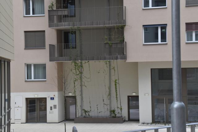 Die Wohnbauten werden auch begrünt. | Foto: Karl Pufler