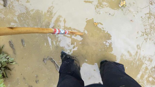 Foto: Michael Eichlberger