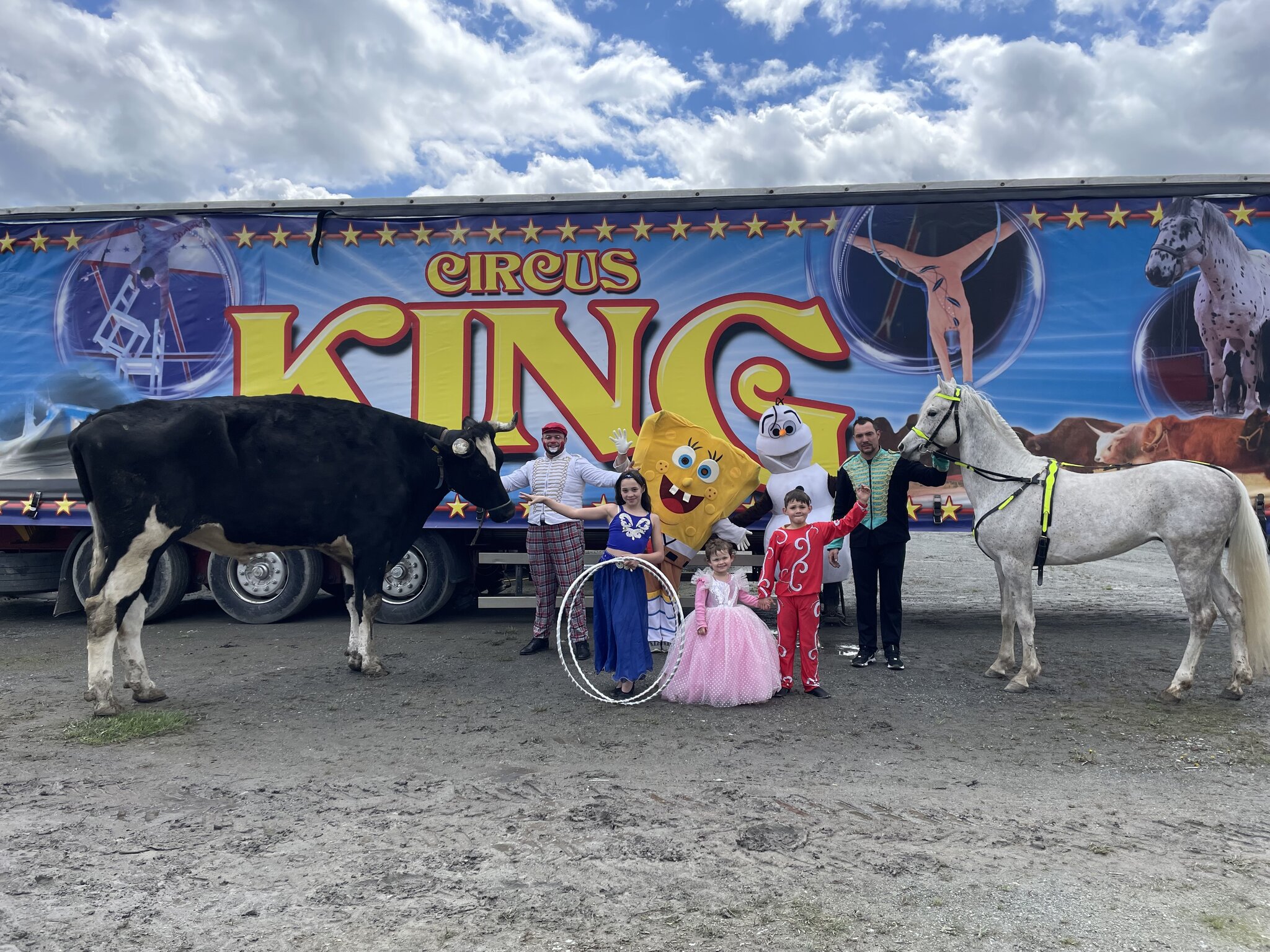 Circus King Artisten und wunderschöne Tiere begeistern das Publikum