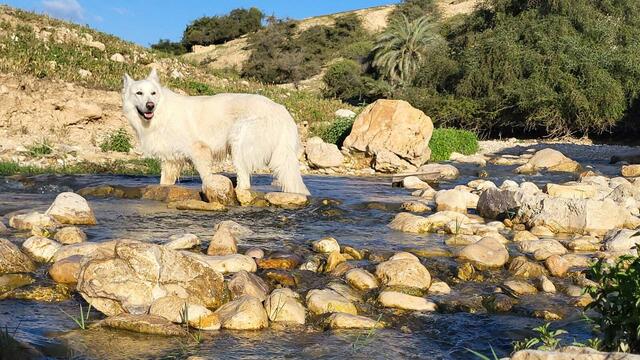 Foto: Michael Eichlberger