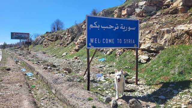 Foto: Michael Eichlberger