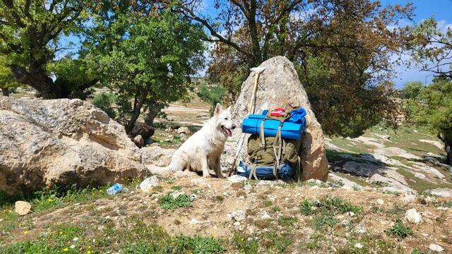 Foto: Michael Eichlberger