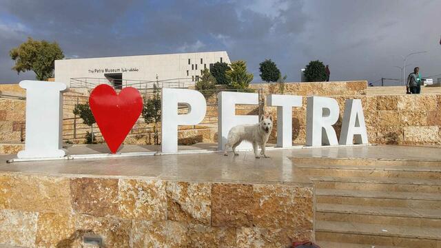 Foto: Michael Eichlberger