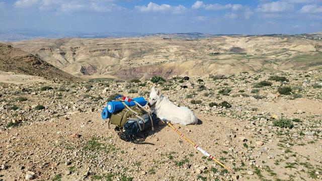 Foto: Michael Eichlberger