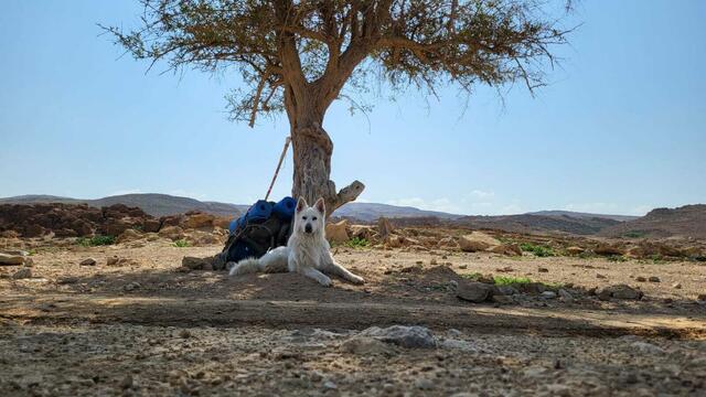 Foto: Michael Eichlberger