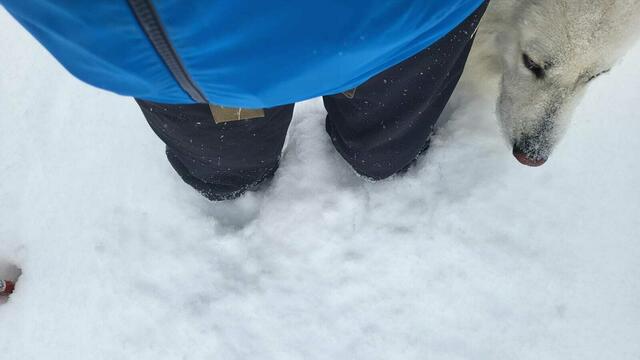 Foto: Michael Eichlberger