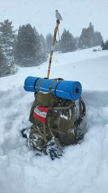 Foto: Michael Eichlberger