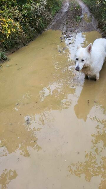 Foto: Michael Eichlberger